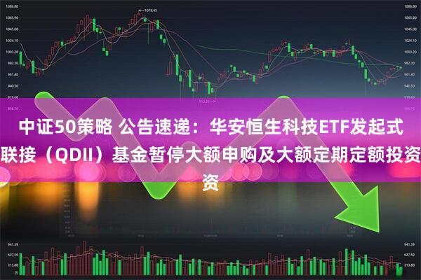 中证50策略 公告速递：华安恒生科技ETF发起式联接（QDII）基金暂停大额申购及大额定期定额投资