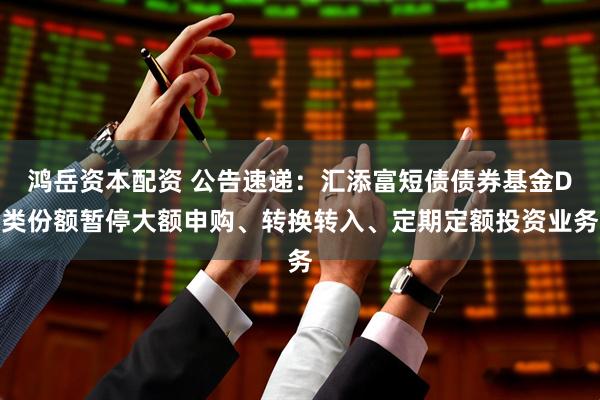 鸿岳资本配资 公告速递：汇添富短债债券基金D类份额暂停大额申购、转换转入、定期定额投资业务