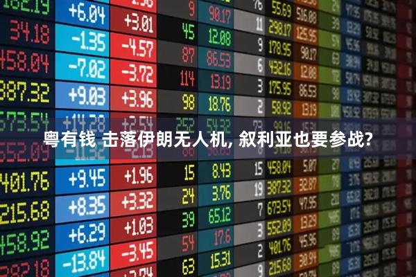 粤有钱 击落伊朗无人机, 叙利亚也要参战?