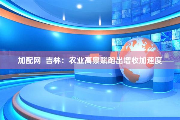 加配网  吉林：农业高禀赋跑出增收加速度