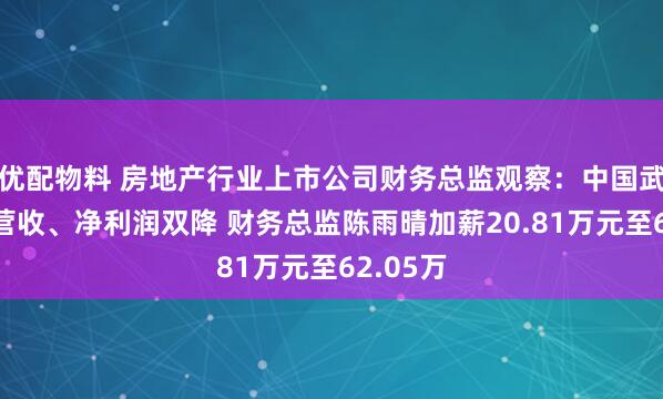 优配物料 房地产行业上市公司财务总监观察：中国武夷去年营收、净利润双降 财务总监陈雨晴加薪20.81万元至62.05万