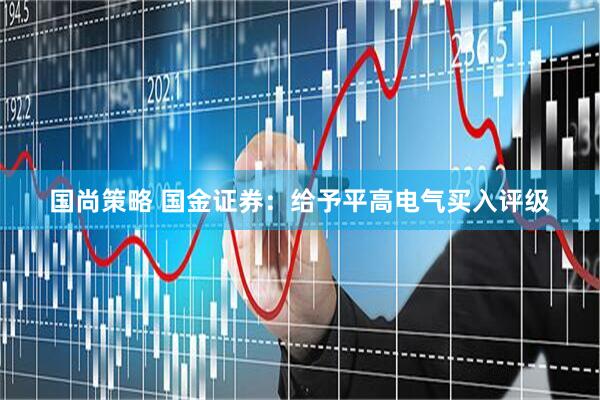 国尚策略 国金证券：给予平高电气买入评级