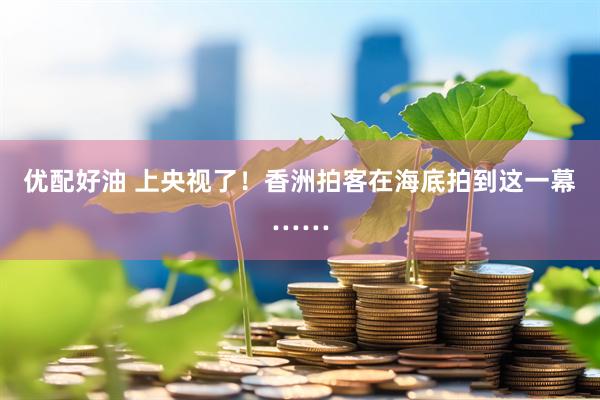 优配好油 上央视了!香洲拍客在海底拍到这一幕……