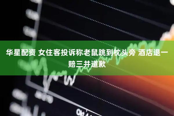 华星配资 女住客投诉称老鼠跳到枕头旁 酒店退一赔三并道歉