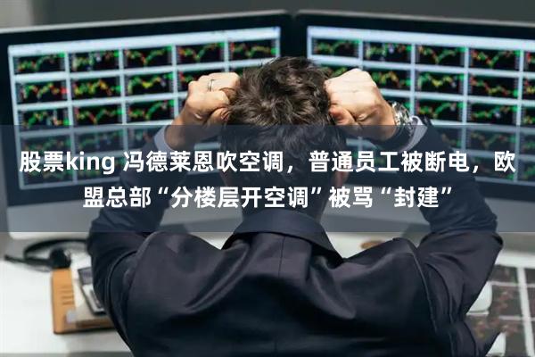 股票king 冯德莱恩吹空调，普通员工被断电，欧盟总部“分楼层开空调”被骂“封建”